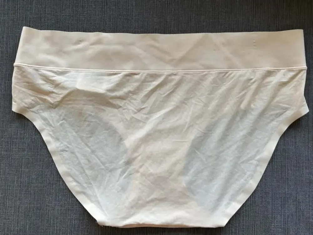NwT beige Wacoal Hipster Panties Size Large